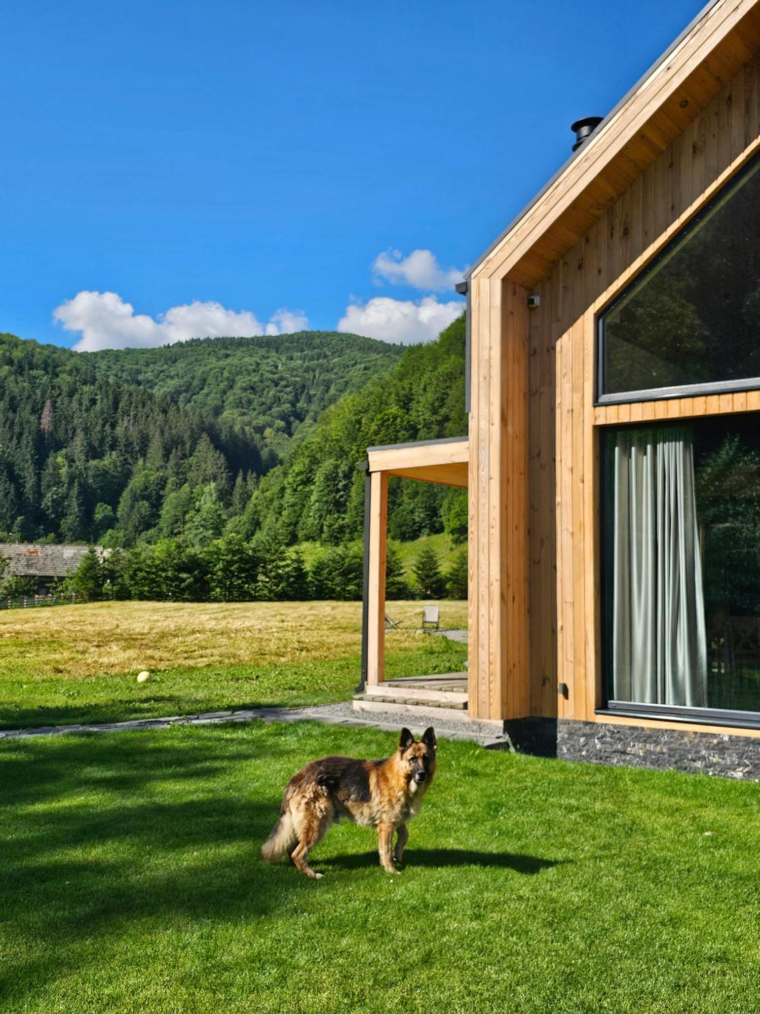 Vama Chalet Vama Buzăului Exterior foto