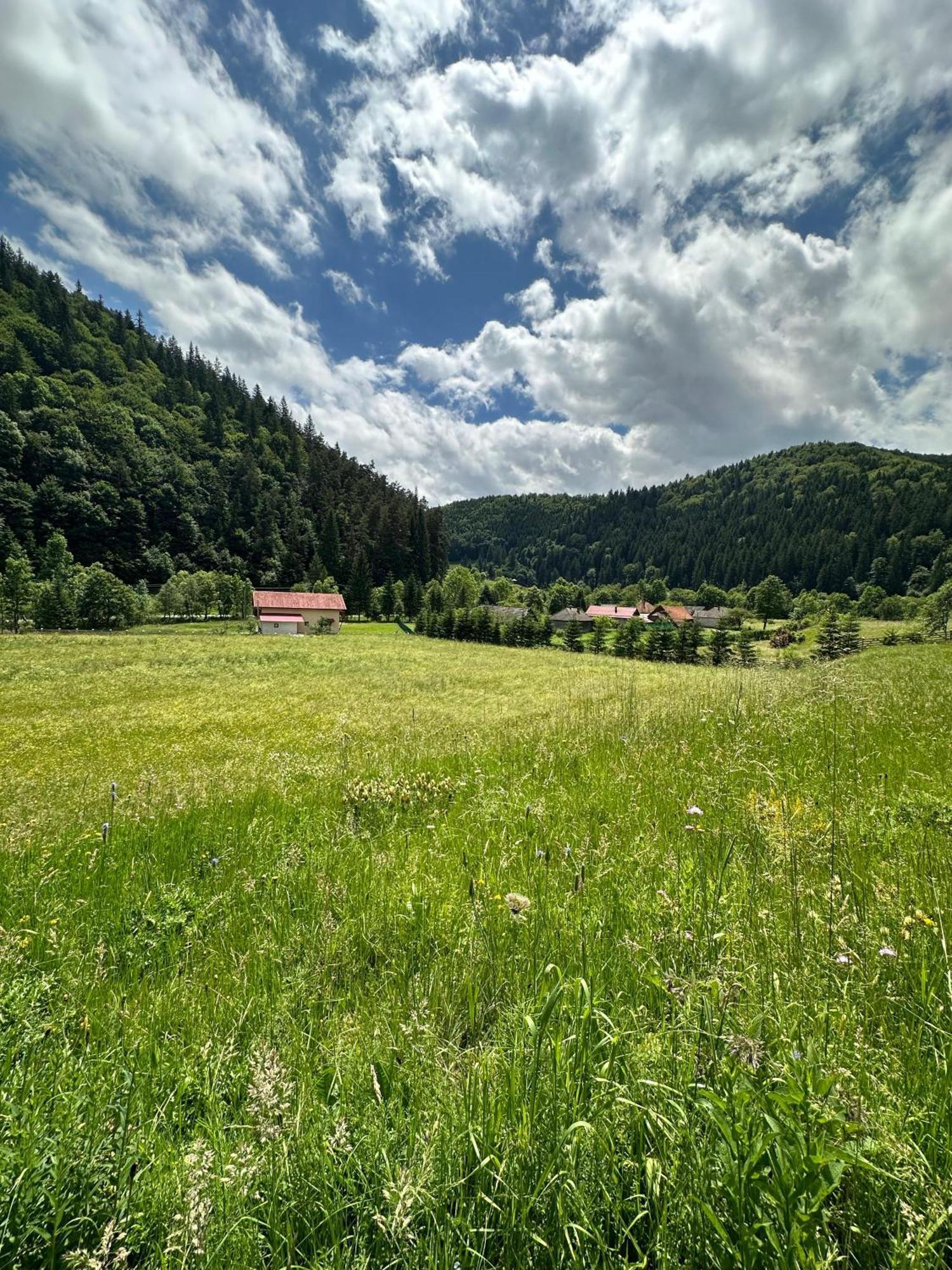 Vama Chalet Vama Buzăului Exterior foto