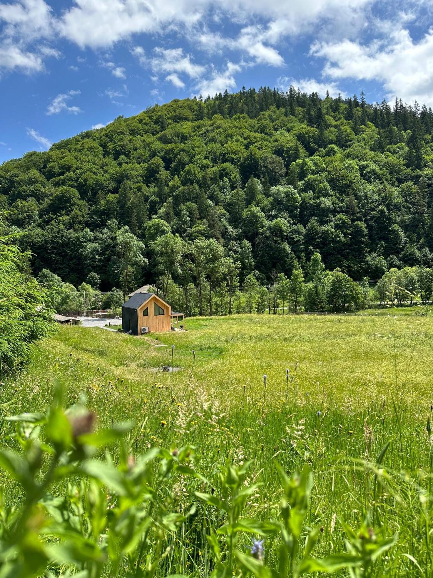 Vama Chalet Vama Buzăului Exterior foto